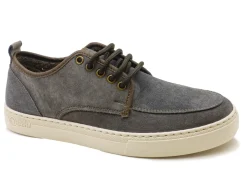 Blucher