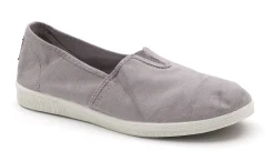 Old Bonsai