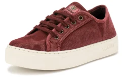 Old Gavi
