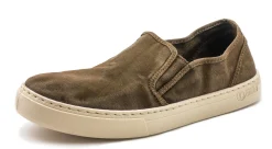 Old Gazelle