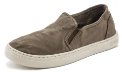 Old Petunia