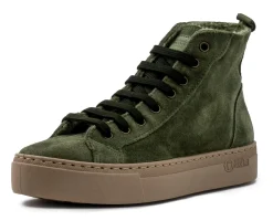 Vieira